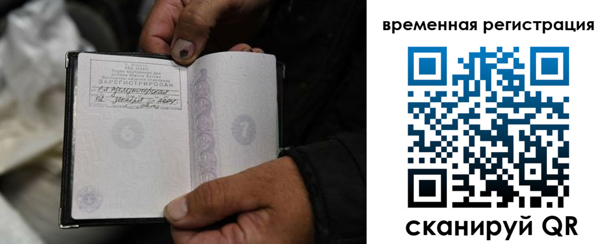прописка поиск в Апатитах